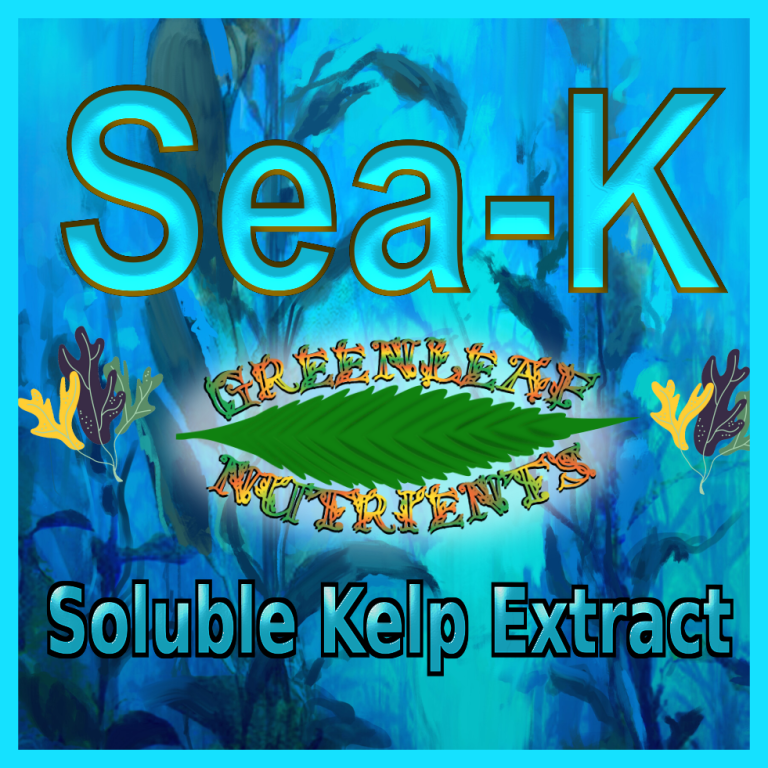 Sea-K Kelp Extract