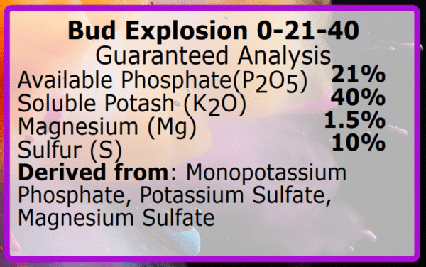 Bud Explosion PK Booster - Image 2